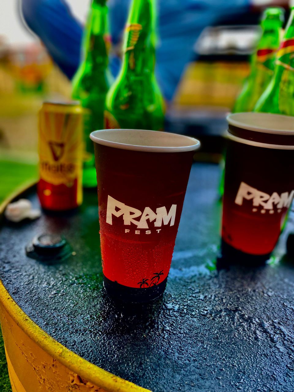 PramFest 2025 Activity 5